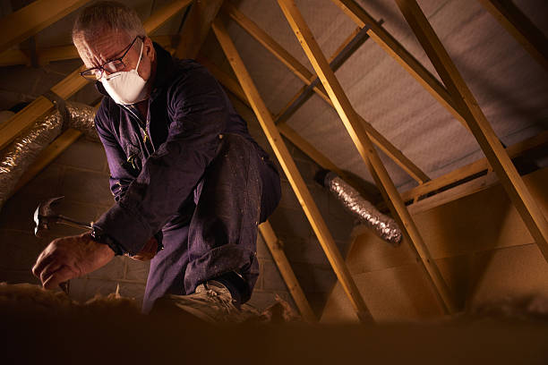 Best Insulation Installation Services in East Richmond Heights, CA